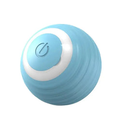 Interactive Pet Ball Toy