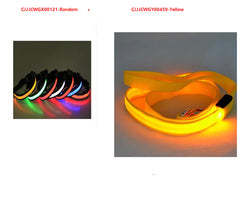 LED Dog Collar Leash