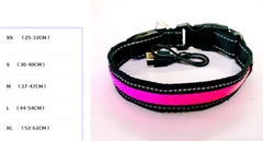 LED Dog Collar Leash