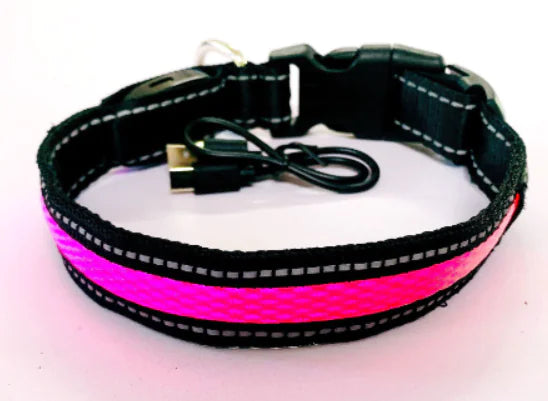 LED Dog Collar Leash
