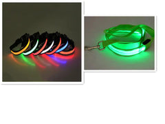 LED Dog Collar Leash